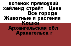 котенок прямоухий  хайленд страйт › Цена ­ 10 000 - Все города Животные и растения » Кошки   . Архангельская обл.,Архангельск г.